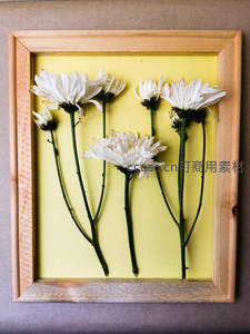 木框黄底白菊干花艺术装饰画