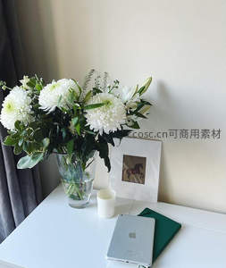 书桌白菊，静谧时光