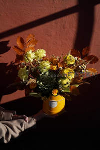 秋日黄花圆筒，光影交错雅致