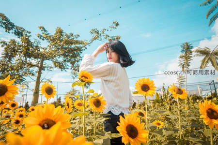 少女置身向日葵花丛仰望蓝天
