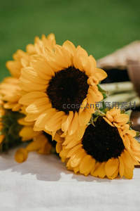 向日葵花束静置于白布之上，背景绿意盎然
