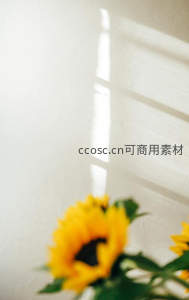 光影中的向日葵静谧诗意