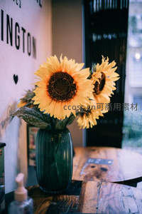 咖啡馆木桌上的向日葵花束