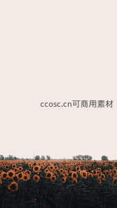 无垠向日葵花海远景