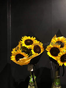 黑墙前两束包装精美的向日葵