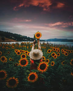 女孩在向日葵花海中举花迎接夕阳