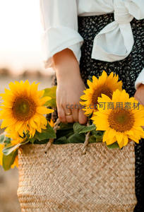 手提草编篮满载新鲜向日葵花束
