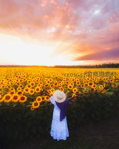 女孩张开双臂拥抱向日葵花海