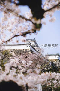 樱花掩映下的古堡春色