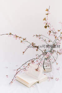 樱花与书页的静谧时光