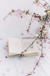 书香伴樱落诗意画面