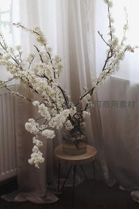 窗边花瓶中的白色樱花枝条