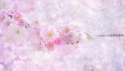 梦幻粉樱如雾似纱漫天飞舞