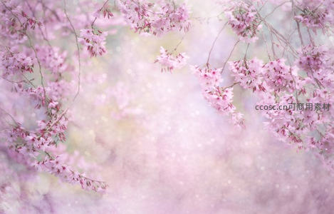 樱花如雾漫天粉霞舞