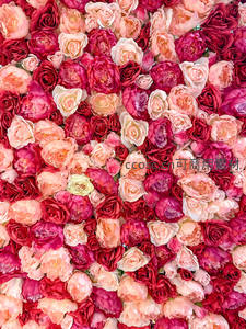 浪漫玫瑰花墙，粉红与深红交织的视觉盛宴