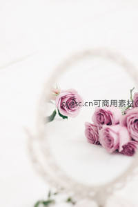 淡紫色玫瑰静卧镜前，朦胧倒影增添梦幻感。