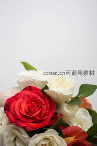 红白玫瑰花束特写，清新雅致