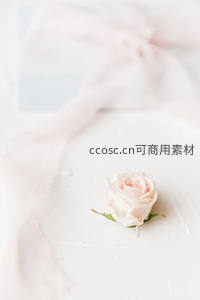 淡粉色玫瑰轻放于素白台面，柔美恬静