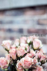 浅粉玫瑰花束倚靠砖墙背景