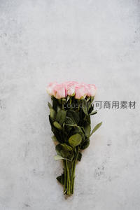一束粉色玫瑰平铺于灰墙