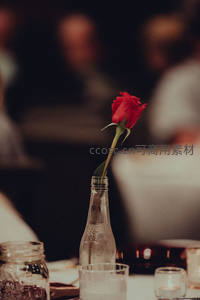 红玫瑰插瓶置于温馨餐桌