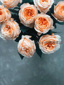 柔和橙粉玫瑰花束俯拍