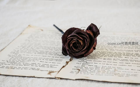 枯萎玫瑰静卧书页之上