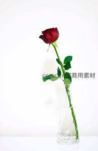 单支红玫瑰插于透明玻璃瓶中