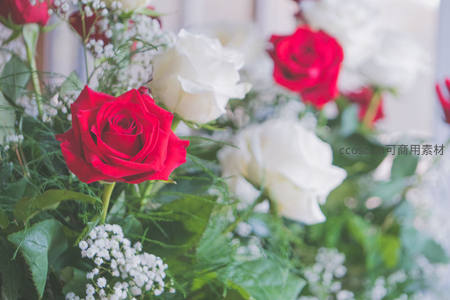 红白玫瑰花束特写