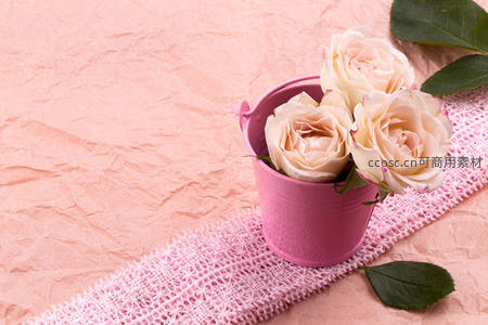 粉色小桶盛放三朵淡雅玫瑰花