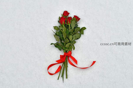红丝带束玫瑰，洁白背景衬托纯爱
