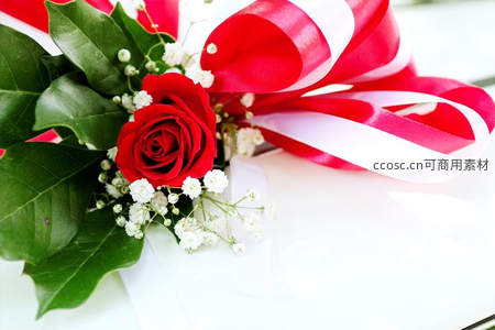 红玫瑰配丝带与满天星