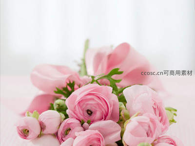 窗边粉色花束温柔静谧