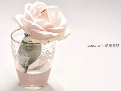 单支浅粉玫瑰置于雕花玻璃杯