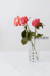 三朵粉玫瑰优雅插于气泡玻璃花瓶中