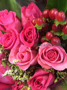 粉玫瑰与红浆果相映成趣，娇艳欲滴