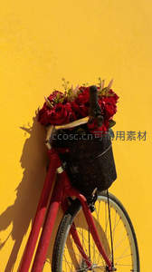 红车黄墙上的玫瑰花篮