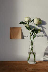 白玫瑰与光影的静物诗