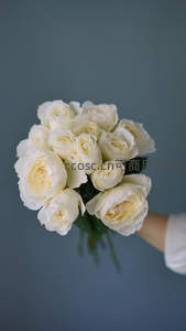 手捧白色玫瑰花束