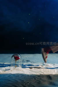 红玫瑰被玻璃罩保护，置于沙地之上
