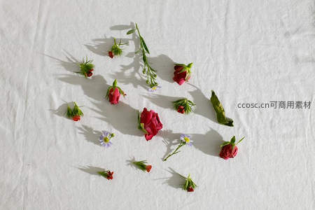 散落白布上的玫瑰花蕾与小花