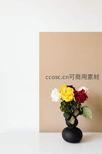 三色玫瑰聚黑瓶，撞色背景添现代艺术感