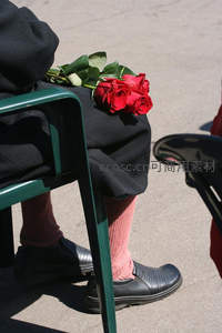 静坐椅上，膝头红玫瑰映衬日常温情