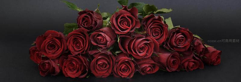 深红玫瑰堆叠如山，暗调尽显奢华
