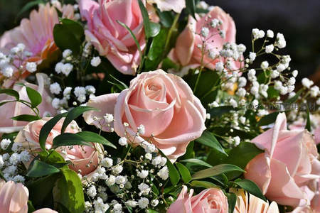 粉色玫瑰与满天星的温柔花束