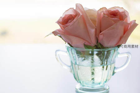 两朵粉玫瑰插在复古玻璃杯中