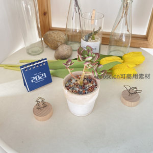 多肉植物与木质小物的温馨桌面布置