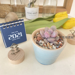 粉紫色多肉与木质书签的温柔时光