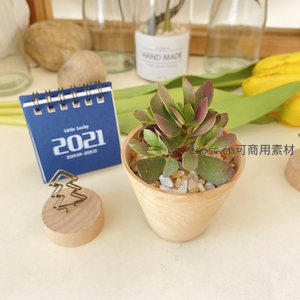 小巧玉树盆栽的简约桌面布置