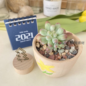 绿意盎然的多肉盆栽与日历相伴